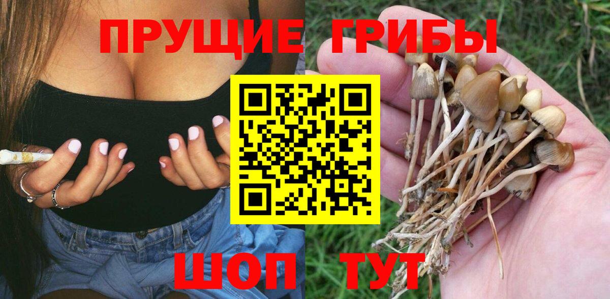 Галлюциногенные грибы мухоморы Балтийск
